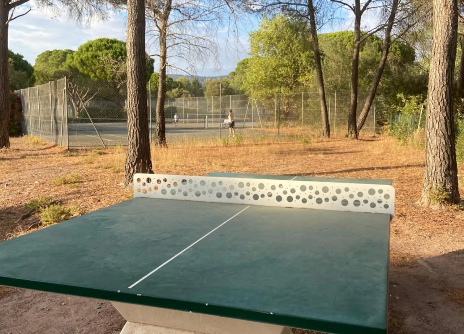 Apartment Appartement Piscine Et Pinede - Wifi Saint-Raphael  France